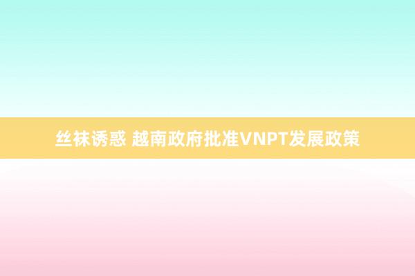 丝袜诱惑 越南政府批准VNPT发展政策