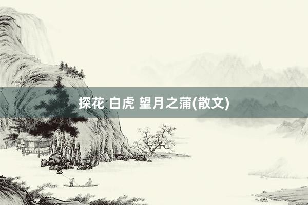 探花 白虎 望月之蒲(散文)