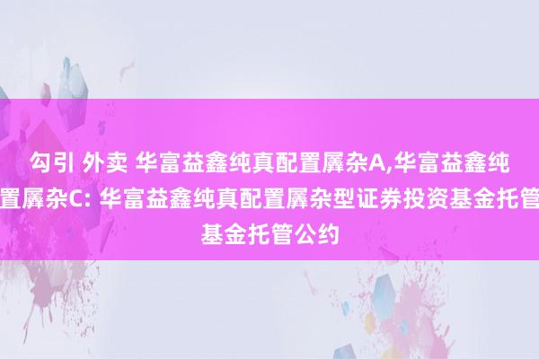 勾引 外卖 华富益鑫纯真配置羼杂A,华富益鑫纯真配置羼杂C: 华富益鑫纯真配置羼杂型证券投资基金托管公约