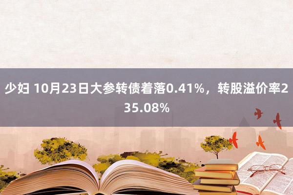 少妇 10月23日大参转债着落0.41%,转股溢价率235.08%