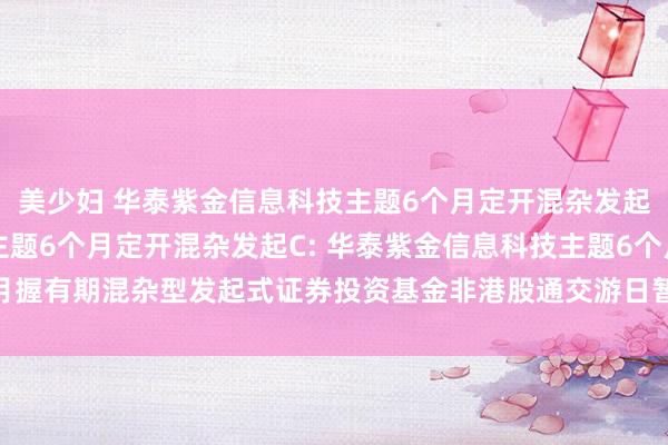 美少妇 华泰紫金信息科技主题6个月定开混杂发起A,华泰紫金信息科技主题6个月定开混杂发起C: 华泰紫金信息科技主题6个月握有期混杂型发起式证券投资基金非港股通交游日暂停申购、赎回等业务的公告