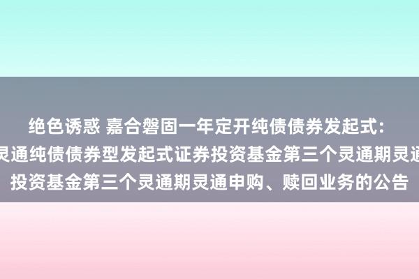 绝色诱惑 嘉合磐固一年定开纯债债券发起式: 对于嘉合磐固一年按时灵通纯债债券型发起式证券投资基金第三个灵通期灵通申购、赎回业务的公告