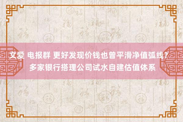 文爱 电报群 更好发现价钱也曾平滑净值弧线？  多家银行搭理公司试水自建估值体系