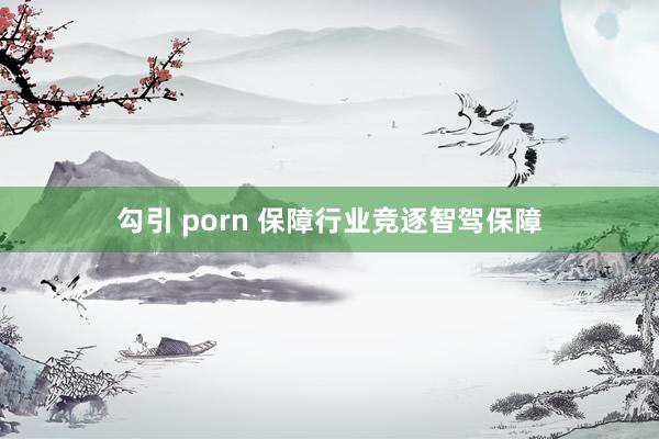 勾引 porn 保障行业竞逐智驾保障