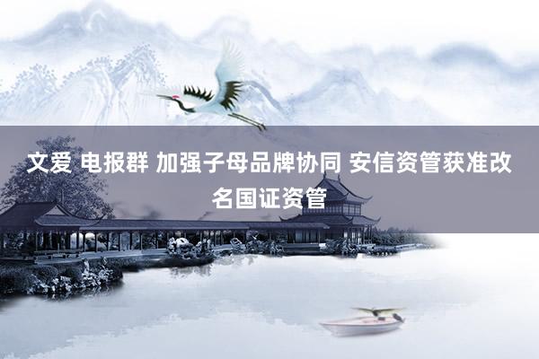 文爱 电报群 加强子母品牌协同 安信资管获准改名国证资管