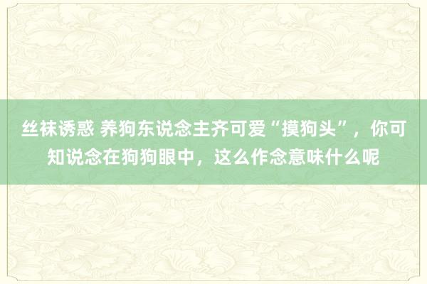 丝袜诱惑 养狗东说念主齐可爱“摸狗头”，你可知说念在狗狗眼中，这么作念意味什么呢