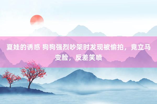 夏娃的诱惑 狗狗强烈吵架时发现被偷拍，竟立马变脸，反差笑喷