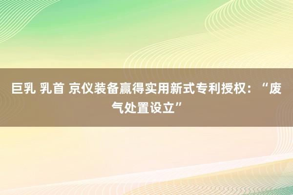 巨乳 乳首 京仪装备赢得实用新式专利授权：“废气处置设立”