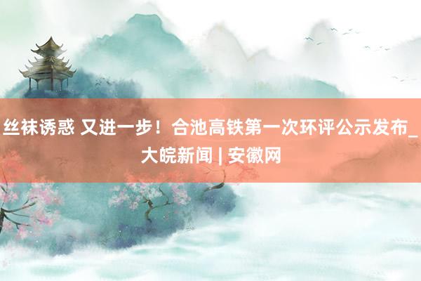 丝袜诱惑 又进一步！合池高铁第一次环评公示发布_大皖新闻 | 安徽网