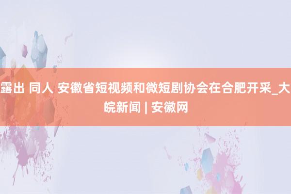 露出 同人 安徽省短视频和微短剧协会在合肥开采_大皖新闻 | 安徽网