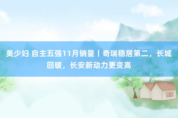 美少妇 自主五强11月销量丨奇瑞稳居第二，长城回暖，长安新动力更变高