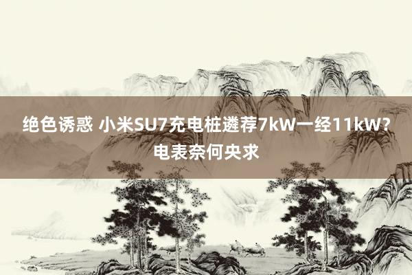 绝色诱惑 小米SU7充电桩遴荐7kW一经11kW？电表奈何央求