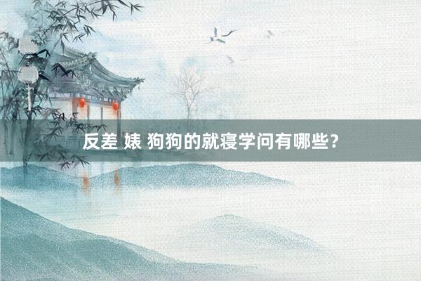 反差 婊 狗狗的就寝学问有哪些？
