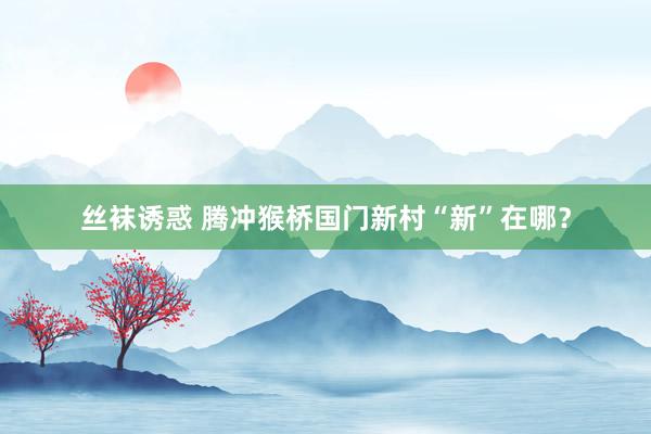 丝袜诱惑 腾冲猴桥国门新村“新”在哪？