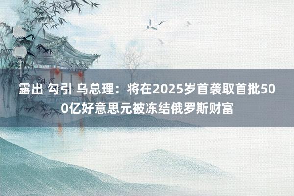 露出 勾引 乌总理：将在2025岁首袭取首批500亿好意思元被冻结俄罗斯财富