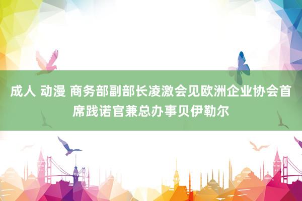 成人 动漫 商务部副部长凌激会见欧洲企业协会首席践诺官兼总办事贝伊勒尔