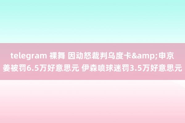 telegram 裸舞 因动怒裁判乌度卡&申京姜被罚6.5万好意思元 伊森喷球迷罚3.5万好意思元