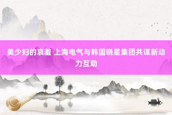美少妇的哀羞 上海电气与韩国晓星集团共谋新动力互助