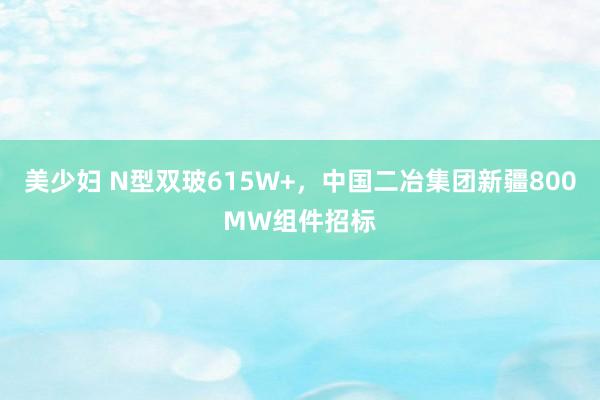 美少妇 N型双玻615W+，中国二冶集团新疆800MW组件招标