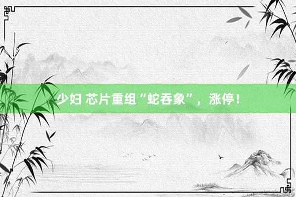 少妇 芯片重组“蛇吞象”，涨停！