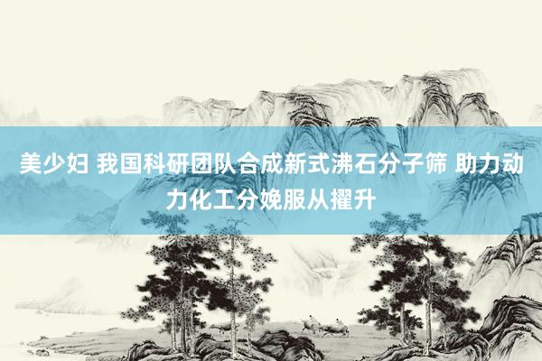 美少妇 我国科研团队合成新式沸石分子筛 助力动力化工分娩服从擢升