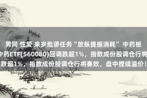 男同 性愛 来岁纰谬任务“放纵提振消耗” 中药板块受柔顺！范围最大中药ETF(560080)回调跌超1%，指数成份股调仓行将奏效，盘中捏续溢价！