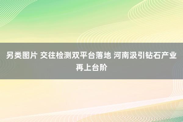 另类图片 交往检测双平台落地 河南汲引钻石产业再上台阶