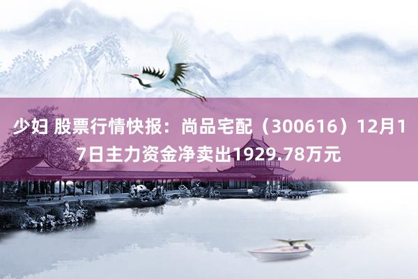 少妇 股票行情快报：尚品宅配（300616）12月17日主力资金净卖出1929.78万元