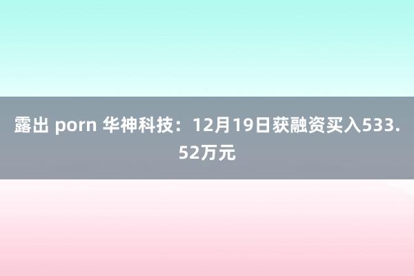 露出 porn 华神科技：12月19日获融资买入533.52万元