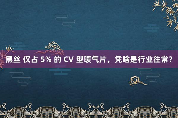 黑丝 仅占 5% 的 CV 型暖气片，凭啥是行业往常？