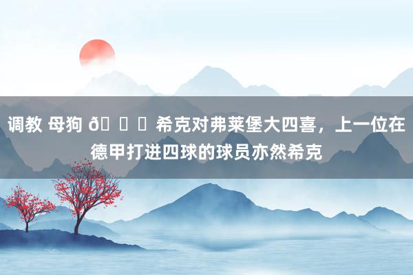 调教 母狗 👍希克对弗莱堡大四喜，上一位在德甲打进四球的球员亦然希克