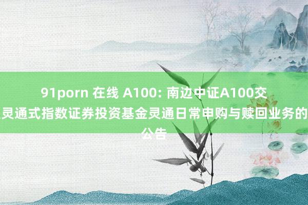 91porn 在线 A100: 南边中证A100交游型灵通式指数证券投资基金灵通日常申购与赎回业务的公告