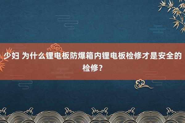 少妇 为什么锂电板防爆箱内锂电板检修才是安全的检修？