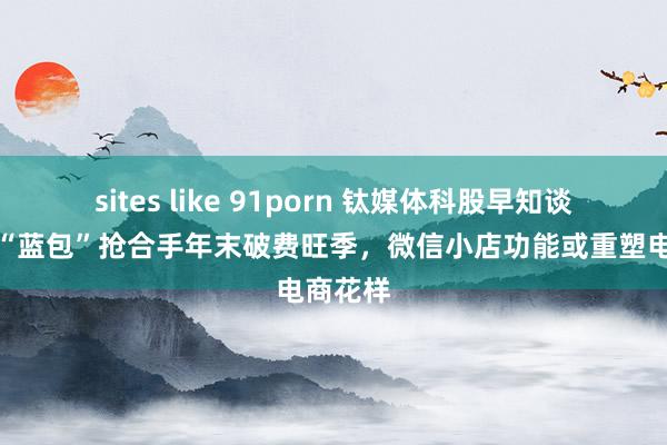 sites like 91porn 钛媒体科股早知谈：腾讯“蓝包”抢合手年末破费旺季，微信小店功能或重塑电商花样