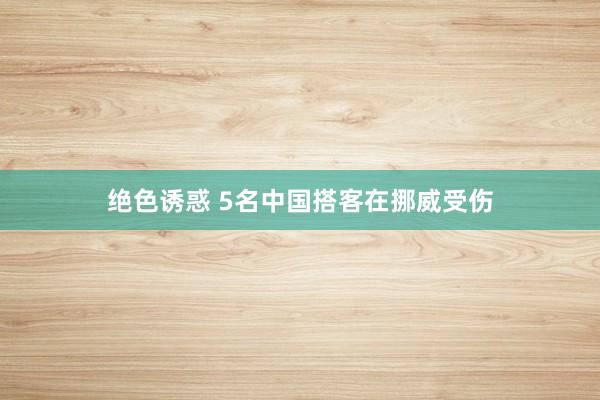 绝色诱惑 5名中国搭客在挪威受伤