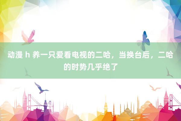 动漫 h 养一只爱看电视的二哈，当换台后，二哈的时势几乎绝了