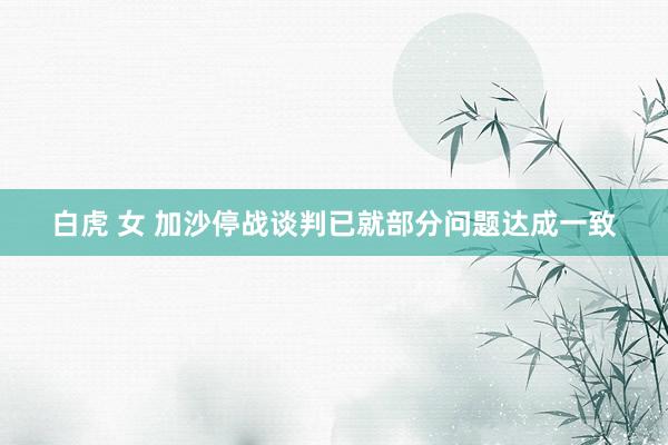白虎 女 加沙停战谈判已就部分问题达成一致