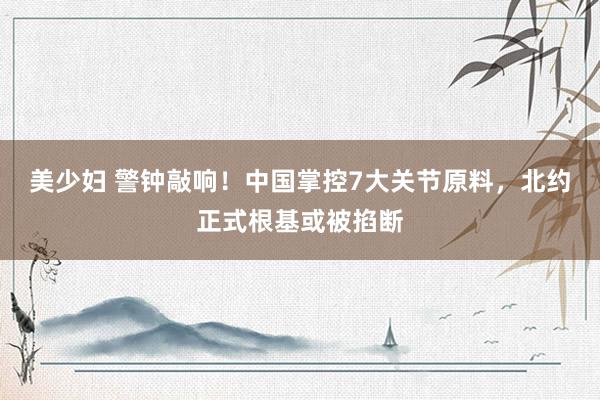 美少妇 警钟敲响！中国掌控7大关节原料，北约正式根基或被掐断