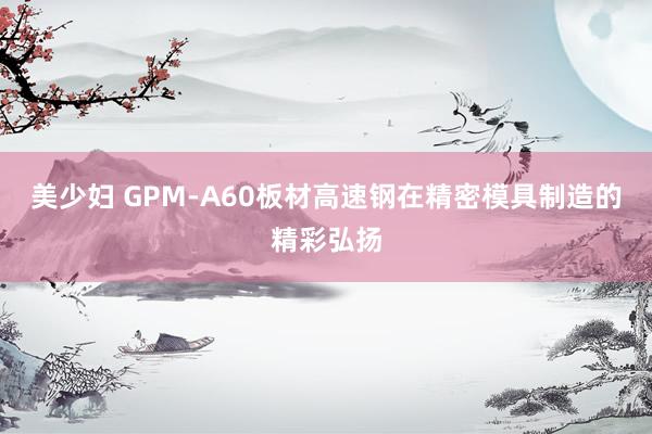 美少妇 GPM-A60板材高速钢在精密模具制造的精彩弘扬