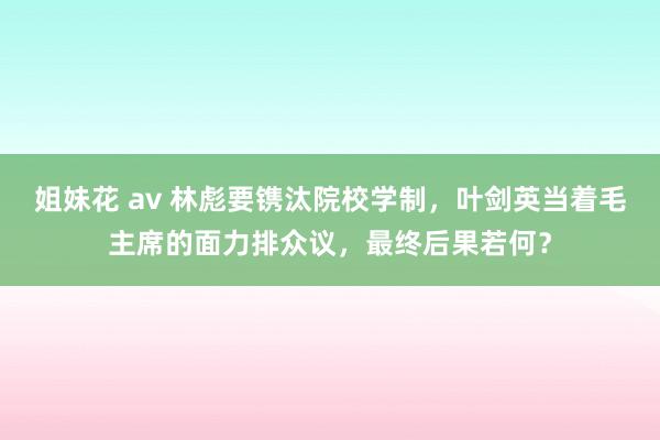 姐妹花 av 林彪要镌汰院校学制，叶剑英当着毛主席的面力排众议，最终后果若何？