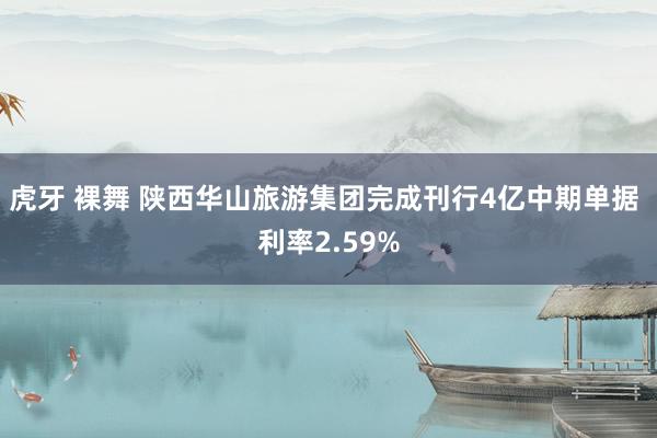 虎牙 裸舞 陕西华山旅游集团完成刊行4亿中期单据 利率2.59%