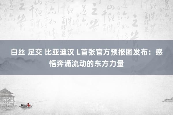白丝 足交 比亚迪汉 L首张官方预报图发布：感悟奔涌流动的东方力量