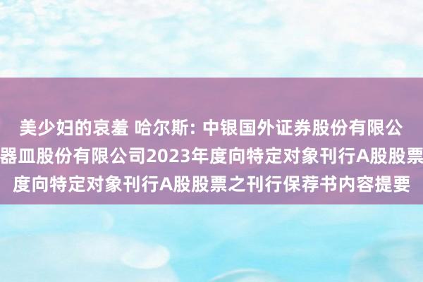 美少妇的哀羞 哈尔斯: 中银国外证券股份有限公司对于浙江哈尔斯真空器皿股份有限公司2023年度向特定对象刊行A股股票之刊行保荐书内容提要