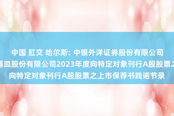 中国 肛交 哈尔斯: 中银外洋证券股份有限公司对于浙江哈尔斯真空器皿股份有限公司2023年度向特定对象刊行A股股票之上市保荐书践诺节录