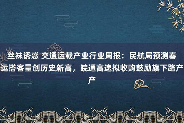 丝袜诱惑 交通运载产业行业周报:民航局预测春运搭客量创历史新高,皖通高速拟收购鼓励旗下路产