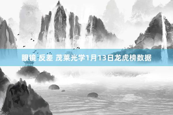 眼镜 反差 茂莱光学1月13日龙虎榜数据