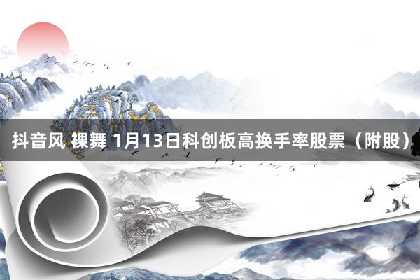 抖音风 裸舞 1月13日科创板高换手率股票（附股）