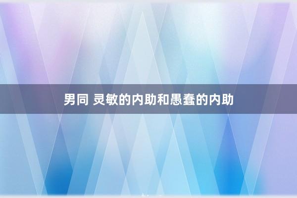 男同 灵敏的内助和愚蠢的内助