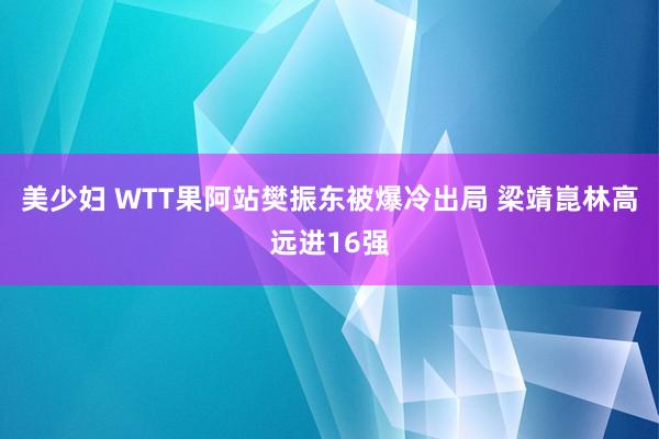 美少妇 WTT果阿站樊振东被爆冷出局 梁靖崑林高远进16强