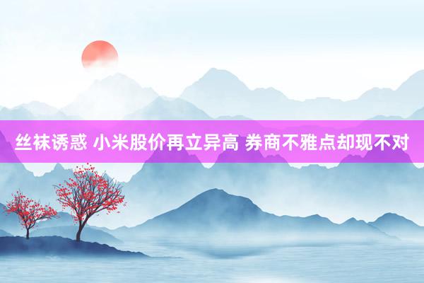 丝袜诱惑 小米股价再立异高 券商不雅点却现不对